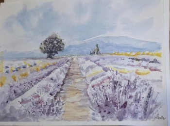 LU Lika - 546621571 1231981415638709 3428488092190533880 n