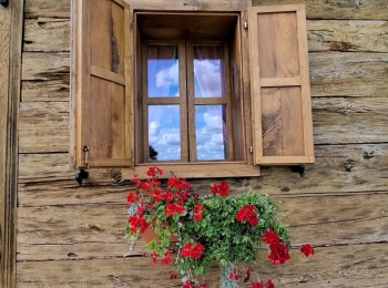 LU Lika - 547090217 1231978455639005 7257502288042259151 n