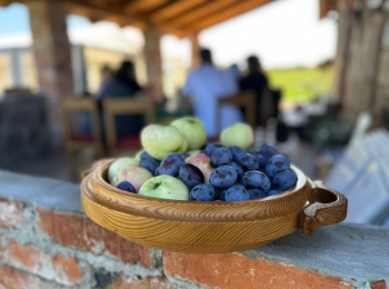 LU Lika - 547646286 1231980018972182 7294107658664493631 n