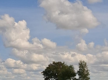 LU Lika - 548207881 1231978642305653 7780347332825588068 n