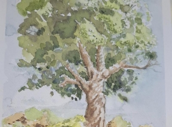 LU Lika - 548222689 1231981885638662 2229397404876685255 n