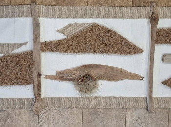 LU Lika - 548655786 1231981308972053 7656939046614531944 n