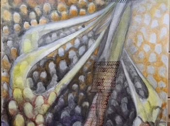 LU Lika - 548692155 1231981695638681 6031196749774908058 n