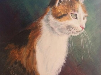 LU Lika Maca, akril na platnu 30x40cm (2016)